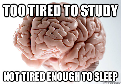 TOO TIRED TO STUDY NOT TIRED ENOUGH TO SLEEP  Scumbag Brain