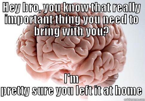 HEY BRO, YOU KNOW THAT REALLY IMPORTANT THING YOU NEED TO BRING WITH YOU? I'M PRETTY SURE YOU LEFT IT AT HOME Scumbag Brain