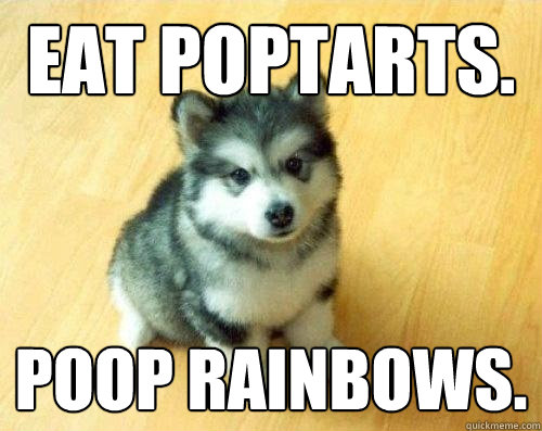 eat poptarts. poop rainbows.  Baby Courage Wolf