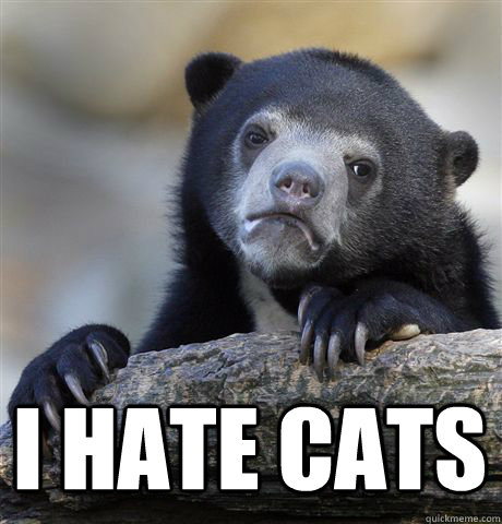  I HATE CATS -  I HATE CATS  Confession Bear