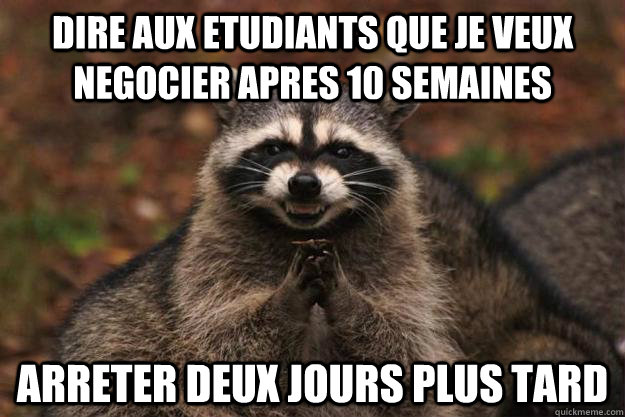 Dire aux etudiants que je veux negocier apres 10 semaines Arreter deux jours plus tard  Evil Plotting Raccoon