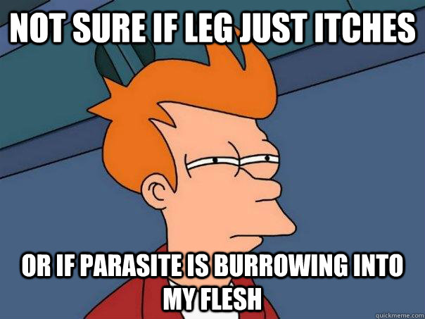 Not sure if leg just itches or if parasite is burrowing into my flesh  Futurama Fry