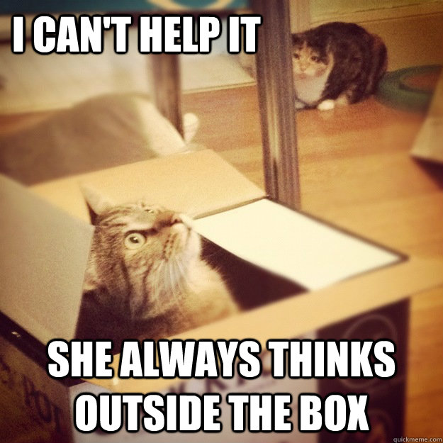 I can't help it She always thinks outside the box  Cats wife