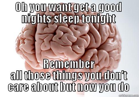 OH YOU WANT GET A GOOD NIGHTS SLEEP TONIGHT REMEMBER ALL THOSE THINGS YOU DON'T CARE ABOUT BUT NOW YOU DO Scumbag Brain