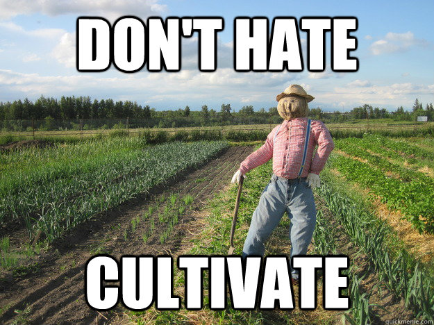 don't hate cultivate  Scarecrow