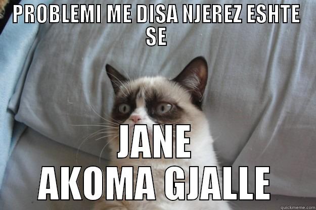 PROBLEMI ME DISA NJEREZ ESHTE SE JANE AKOMA GJALLE Grumpy Cat