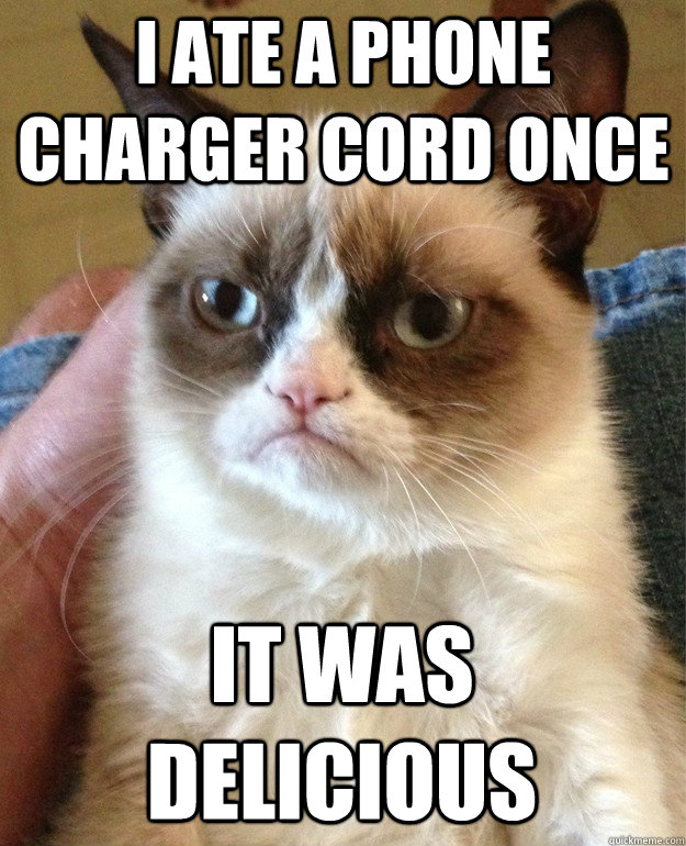 I ate a phone charger cord once It was delicious  Grumpy Cat