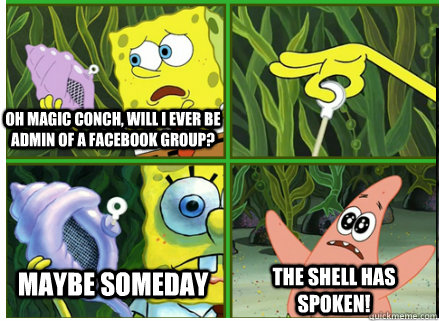 Oh Magic Conch, will I ever be admin of a facebook group? Maybe someday The SHELL HAS SPOKEN!  Magic Conch Shell