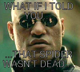 WHAT IF I TOLD YOU.... ...THAT SPIDER WASN'T DEAD.... Matrix Morpheus