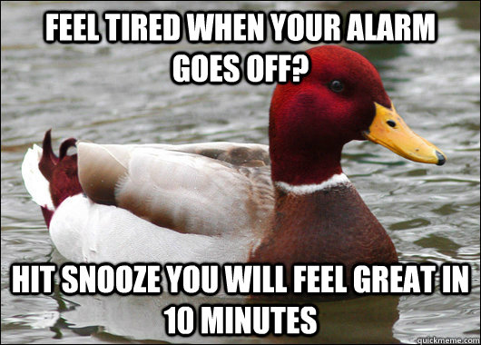 feel tired when your alarm goes off? hit snooze you will feel great in 10 minutes  Malicious Advice Mallard