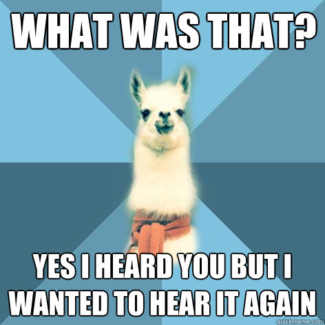 What was that? yes i heard you but i wanted to hear it again  Linguist Llama