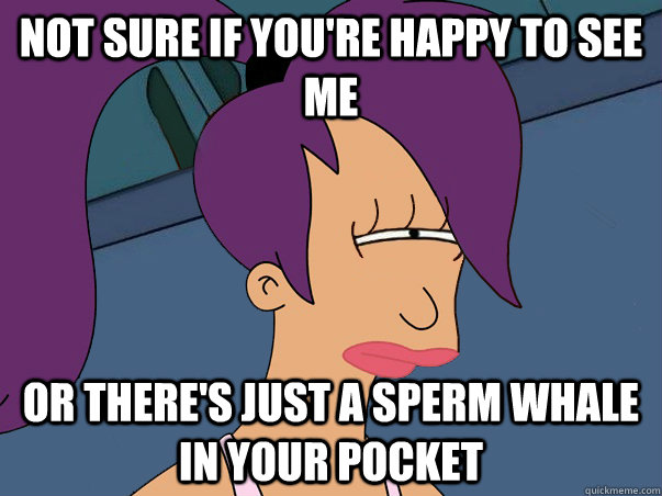 Not sure if you're happy to see me or there's just a sperm whale in your pocket  Leela Futurama