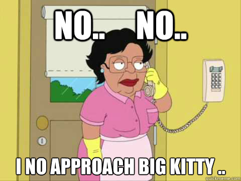 No..     No.. I no approach big kitty ..  Family Guy Maid Meme