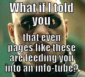 What if - WHAT IF I TOLD YOU THAT EVEN PAGES LIKE THESE ARE FEEDING YOU INTO AN INFO-TUBE? Matrix Morpheus