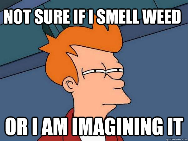 Not sure if i smell weed Or I am imagining it  Futurama Fry