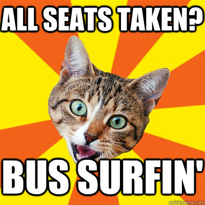 all seats taken? Bus surfin'  Bad Advice Cat