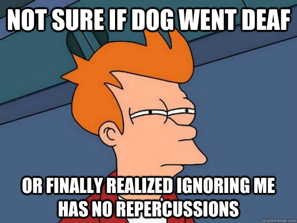 Not sure if dog went deaf or finally realized ignoring me has no repercussions  - Not sure if dog went deaf or finally realized ignoring me has no repercussions   Futurama Fry