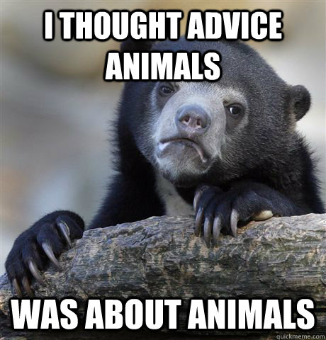 I thought Advice Animals Was about animals  Confession Bear