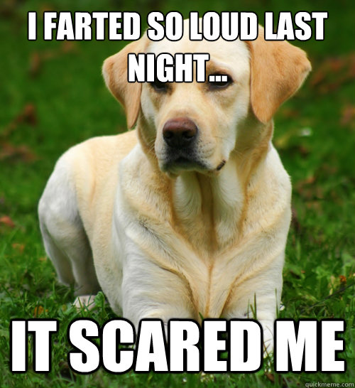 I farted so loud last night... It scared me  Dog Logic