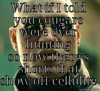 cougar extinction - WHAT IF I TOLD YOU COUGARS WERE OVER HUNTING SO NOW THERE'S SHORTS THAT SHOW OFF CELLULITE Matrix Morpheus