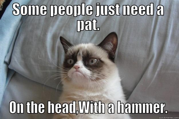 SOME PEOPLE JUST NEED A PAT. ON THE HEAD,WITH A HAMMER. Grumpy Cat