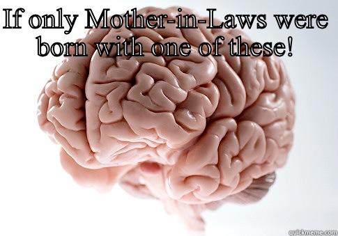 IF ONLY MOTHER-IN-LAWS WERE BORN WITH ONE OF THESE!  Scumbag Brain