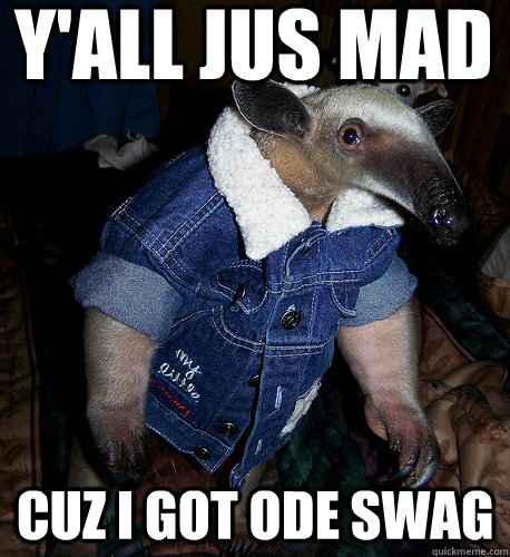 y'all jus mad cuz i got ode swag  