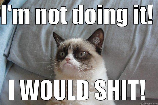 I'M NOT DOING IT!  I WOULD SHIT! Grumpy Cat