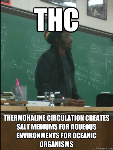 THC Thermohaline circulation creates salt mediums for aqueous environments for oceanic organisms  Rasta Science Teacher