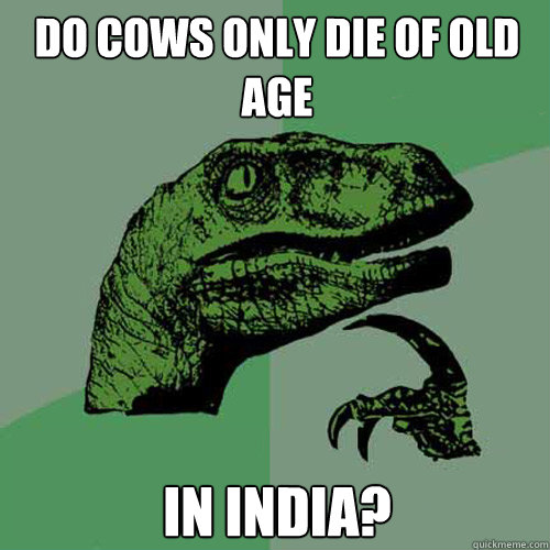 do cows only die of old age in India? Caption 3 goes here  Philosoraptor