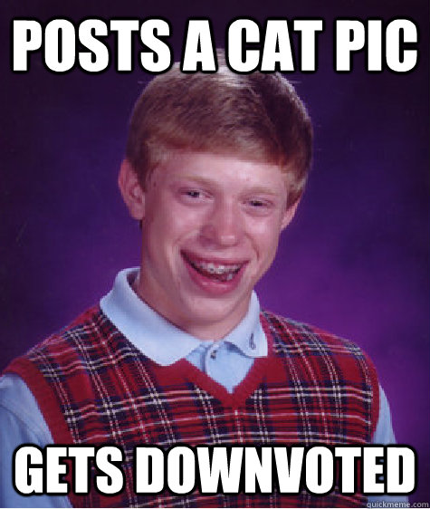 Posts a cat pic gets downvoted  Bad Luck Brian