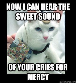 Now I can hear the sweet sound of your cries for mercy - Now I can hear the sweet sound of your cries for mercy  Cochlear Implant Cat