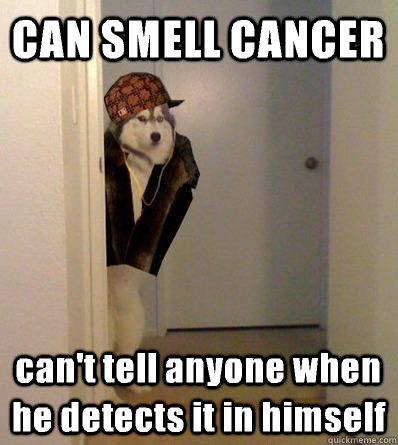 CAN SMELL CANCER can't tell anyone when he detects it in himself  Scumbag dog