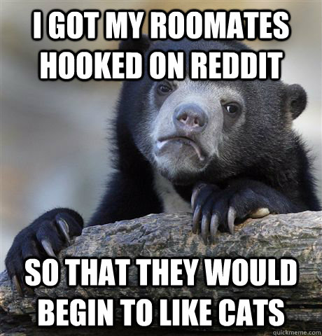 I got my roomates hooked on reddit so that they would begin to like cats - I got my roomates hooked on reddit so that they would begin to like cats  Confession Bear