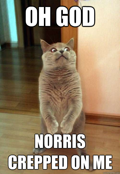 Oh God Norris crepped on me  Horrorcat