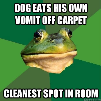 dog eats his own vomit off carpet cleanest spot in room  Foul Bachelor Frog