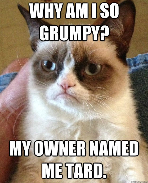 Why am I so grumpy? My owner named me Tard.  Grumpy Cat