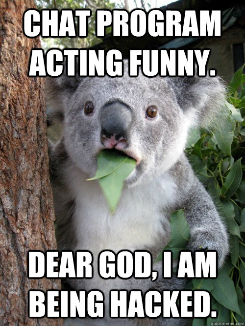 Chat program acting funny. Dear god, I am being hacked.  koala bear