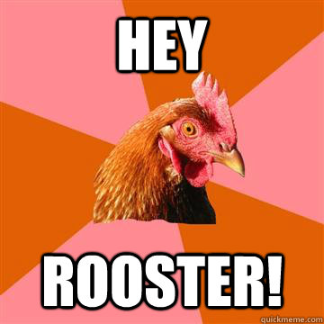 Hey Rooster!  Anti-Joke Chicken