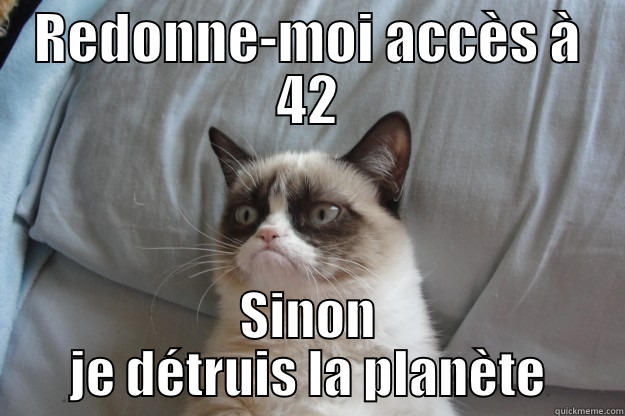 REDONNE-MOI ACCÈS À 42 SINON JE DÉTRUIS LA PLANÈTE Grumpy Cat