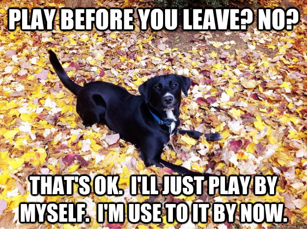 play before you leave? no? that's ok.  i'll just play by myself.  i'm use to it by now. - play before you leave? no? that's ok.  i'll just play by myself.  i'm use to it by now.  Guilt Giving Good Dog