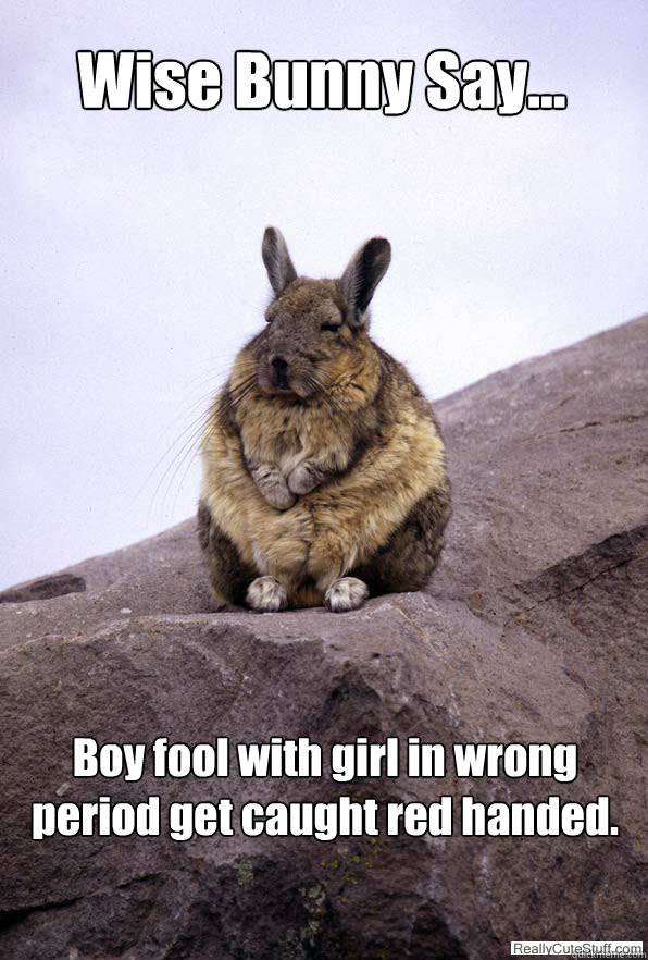 Wise Bunny Say... Boy fool with girl in wrong period get caught red handed.  - Wise Bunny Say... Boy fool with girl in wrong period get caught red handed.   Wise Bunny