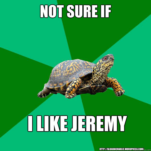 Not sure if I like Jeremy http://blogdocharlie.wordpress.com/  Torrenting Turtle