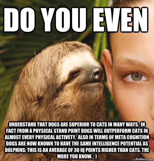 Do you even understand that dogs are superior to cats in many ways.  In fact from a physical stand point dogs will outperform cats in almost every physical activety.  Also in terms of meta cognition dogs are now known to have the same intelligence potenti  rape sloth