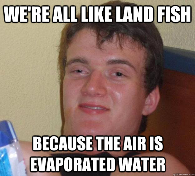 We're all like land fish because the air is evaporated water - We're all like land fish because the air is evaporated water  10 Guy