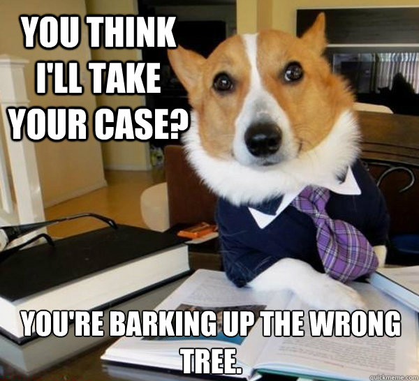 You think I'll take your case? You're barking up the wrong tree.  Lawyer Dog