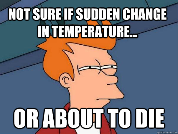 Not sure if sudden change in temperature... Or about to die  Futurama Fry