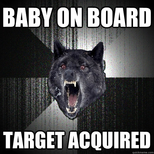 baby on board  target acquired  Insanity Wolf