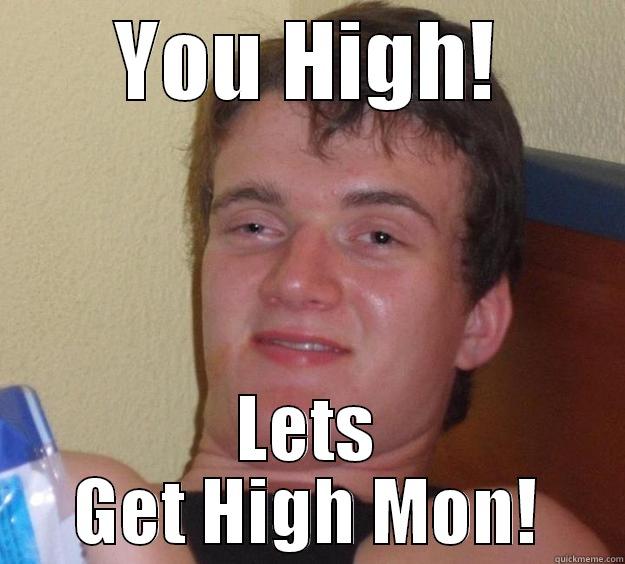 gettin high - YOU HIGH! LETS GET HIGH MON! 10 Guy