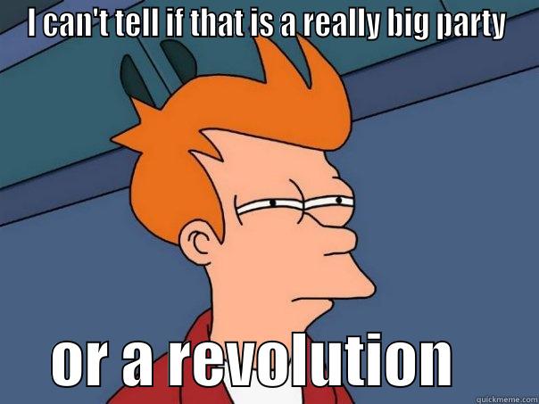 I CAN'T TELL IF THAT IS A REALLY BIG PARTY      OR A REVOLUTION       Futurama Fry